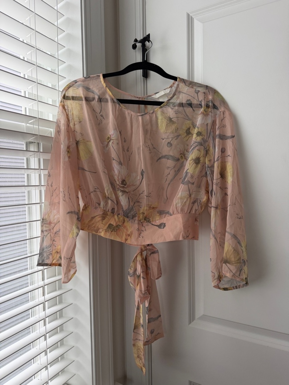 H&M Blush Sheer Floral Tie-Back Blouse
